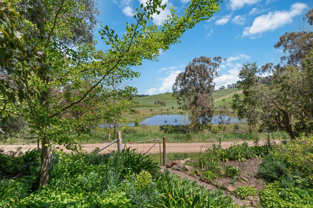 Bendalong - Rural Retreat, Short Drive To Cbd Villa ออเรนจ์ ภายนอก รูปภาพ